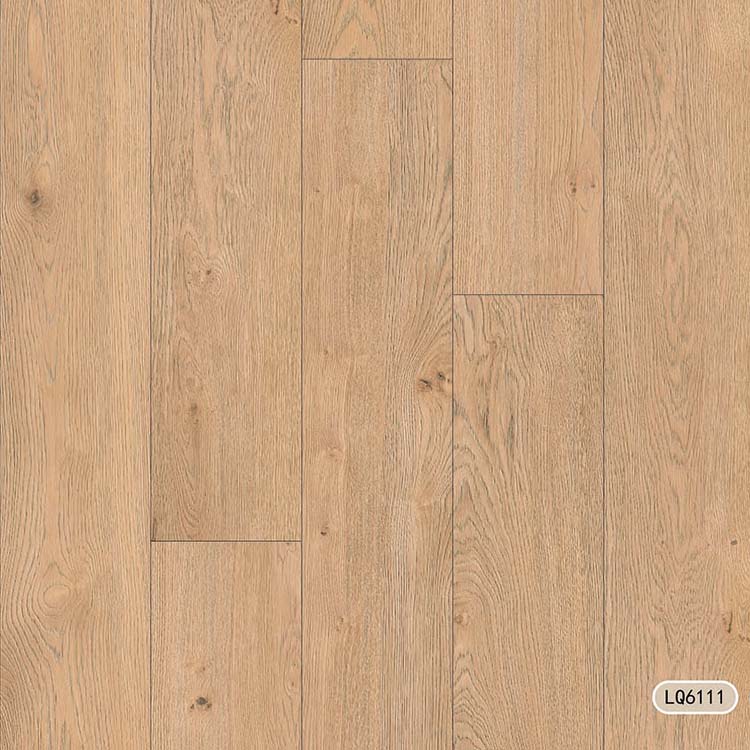 PVC Flooring Film LQ61011